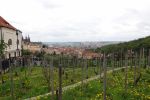 PICTURES/Prague - Strahov Monastery/t_DSC03583.JPG